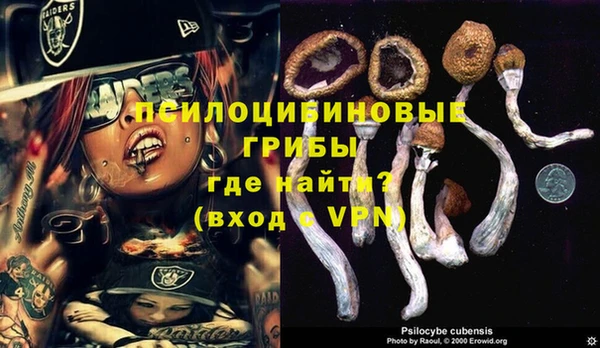 стаф Гусев