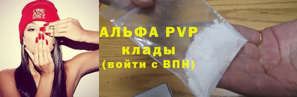 стаф Гусев