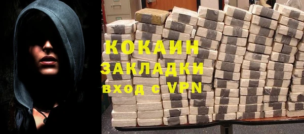 стаф Гусев