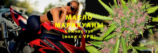 стаф Гусев