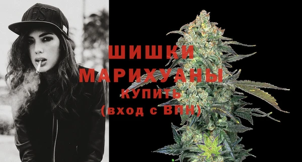 стаф Гусев